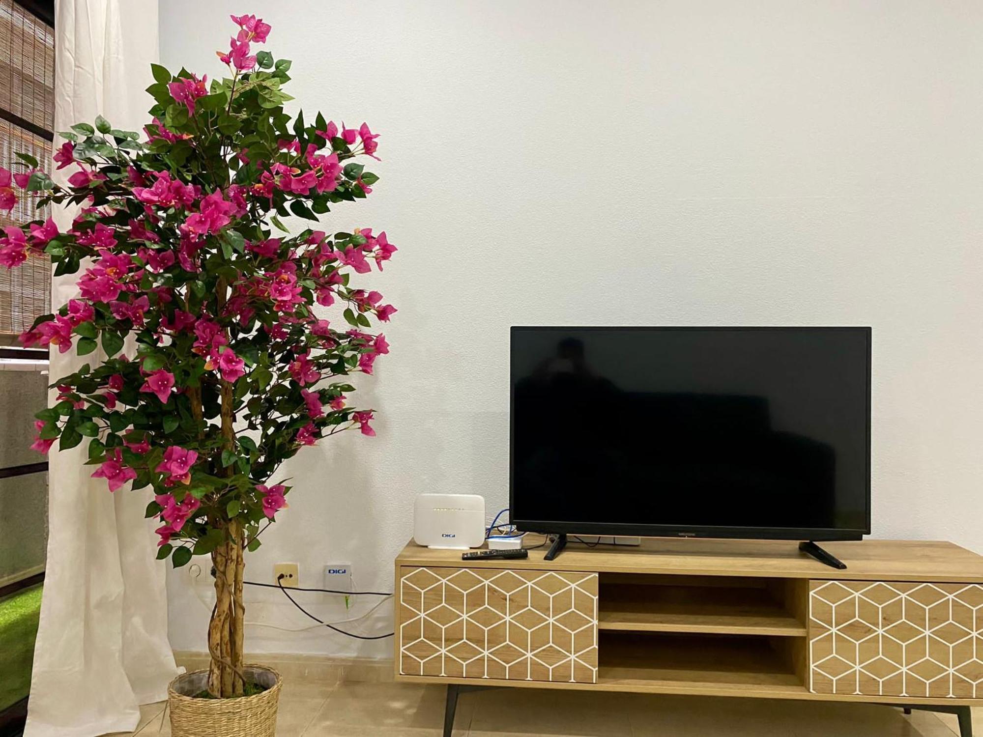 Loft Santa Catalina Park II Apartment Las Palmas de Gran Canaria Ngoại thất bức ảnh